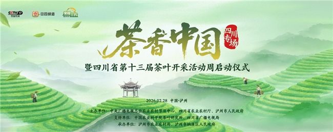 《茶香中国》正式启动 首站带大家到四川解锁今春第一口鲜