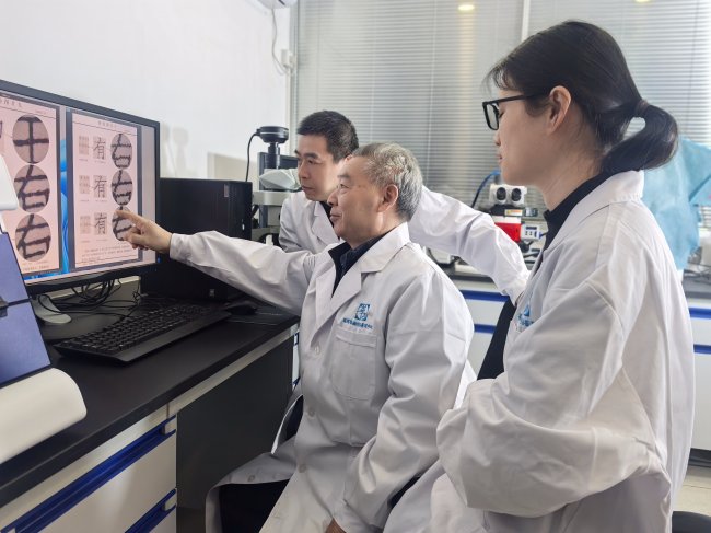 3天vs 30天：文痕室里的“极速”战役