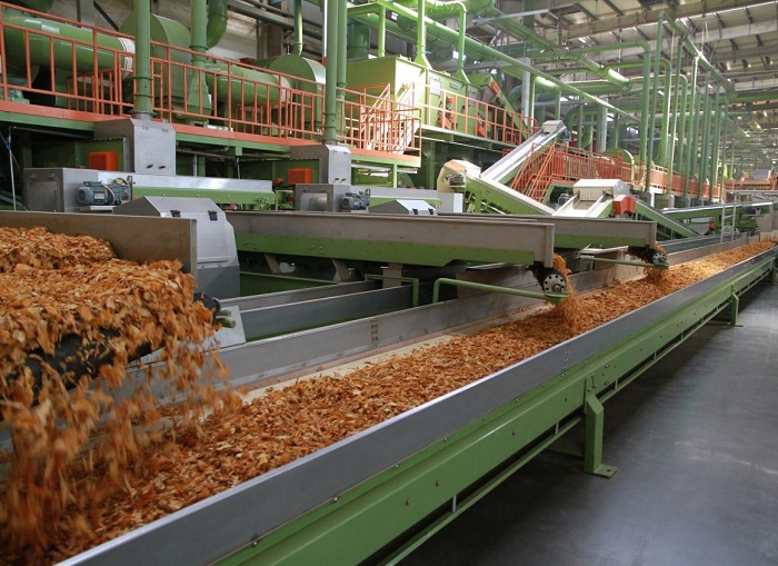 “星芒”激活发展新动能