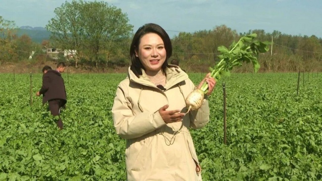 湖北罗田：沙土生白玉 产业酿甘甜​